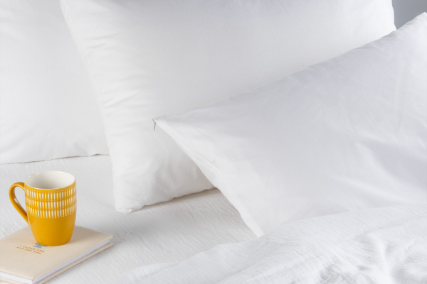 Oreiller premium en duvet et plume | Maison Aveni