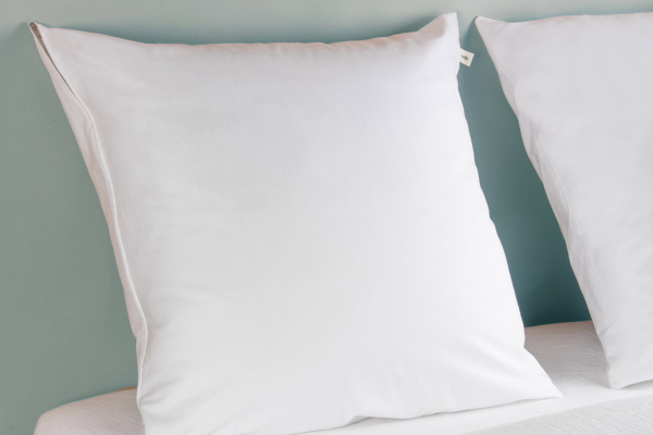 Oreiller avec une enveloppe en coton bio | Maison Aveni