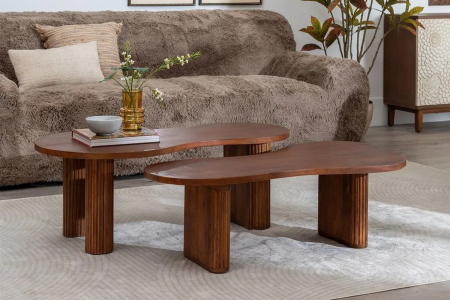 Ensemble de 2 tables basses Solen – Design naturel en manguier massif