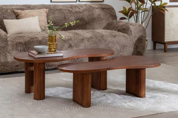Ensemble de 2 tables basses Solen – Design naturel en manguier massif
