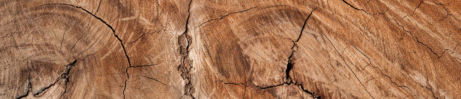 Pourquoi choisir un lit 2 places en bois pour une chambre durable ?