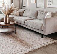 Tapis de salon